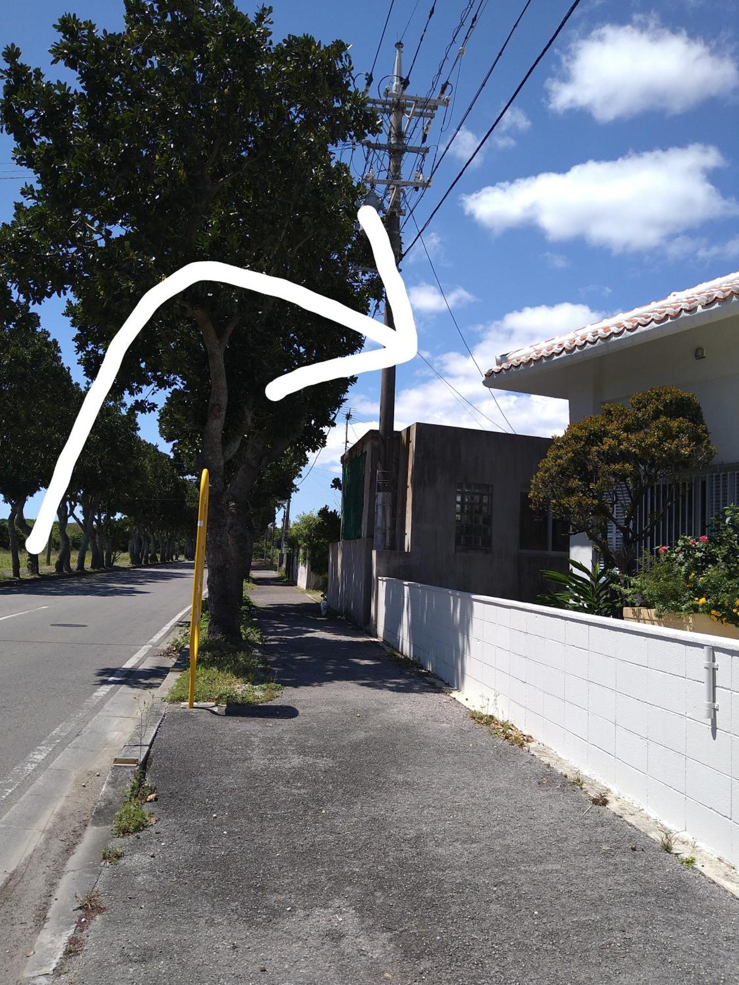 Minshuku Zabaru Hostel Ishigaki  Exterior foto