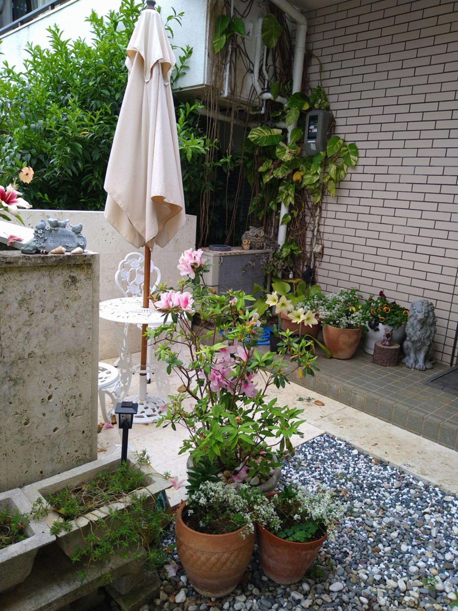 Minshuku Zabaru Hostel Ishigaki  Exterior foto