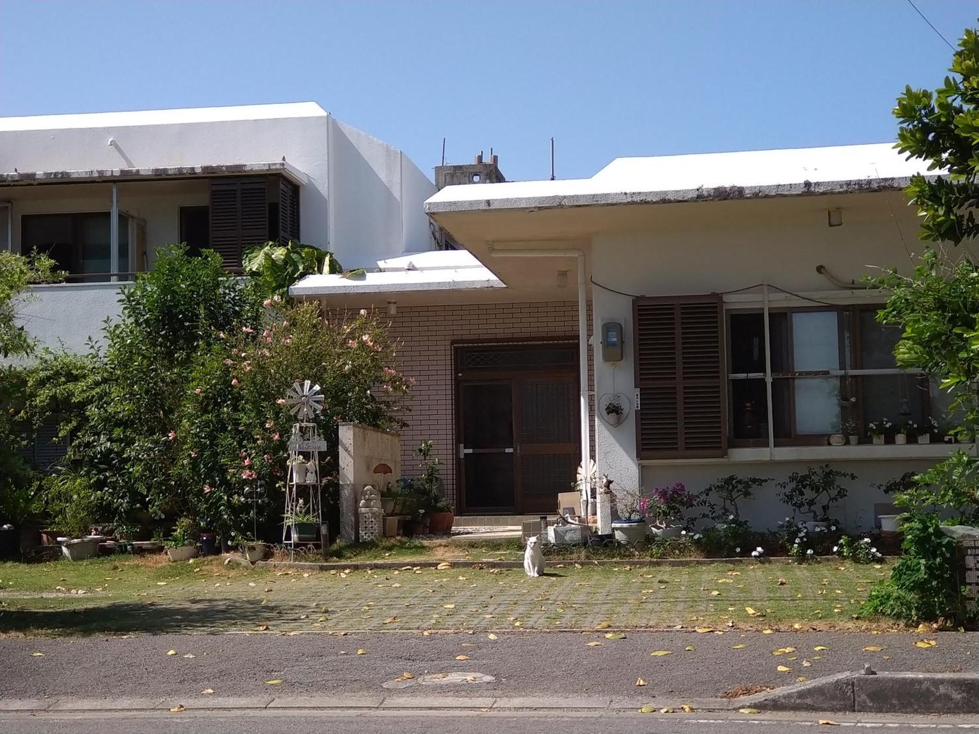 Minshuku Zabaru Hostel Ishigaki  Exterior foto
